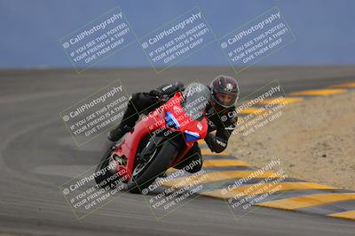 media/Jan-14-2023-SoCal Trackdays (Sat) [[497694156f]]/Turn 12 (120pm)/